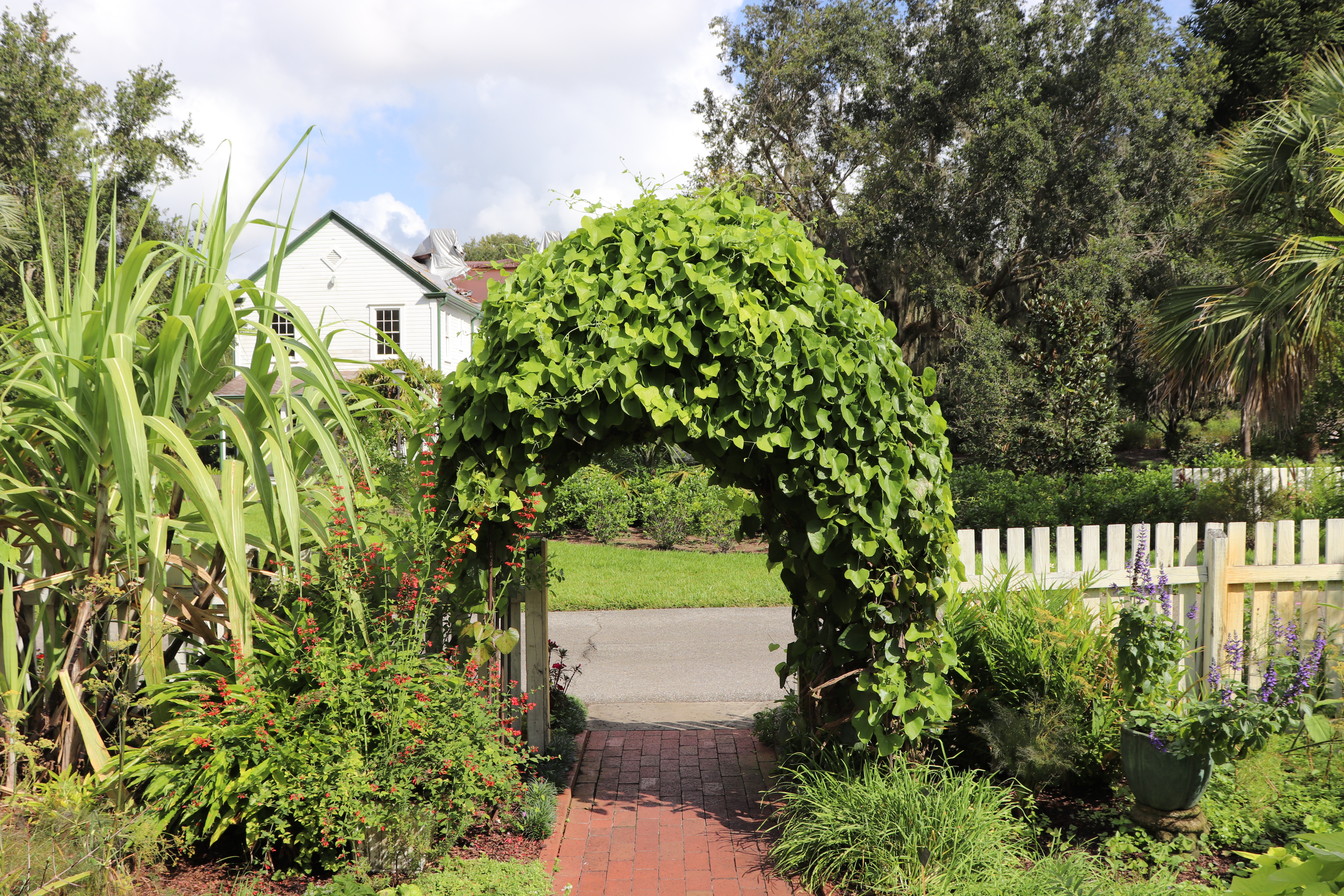 leu gardens, leu gardens orlando, botanical garden orlando, orlando vlog, orlando blogger, orlando blog, orlando vlogger, vlogtober, daily vlog, daily vlog october, touring leu gardens orlando, orlando florida, orlando florida blog, disney vlog, disney vlogger, disney blog, disney blogger, beauty blog, beauty vlog, beauty blogger, beauty vlogger, skincare blog, skincare blogger, skincare vlog, skincare vlogger, mens skincare,