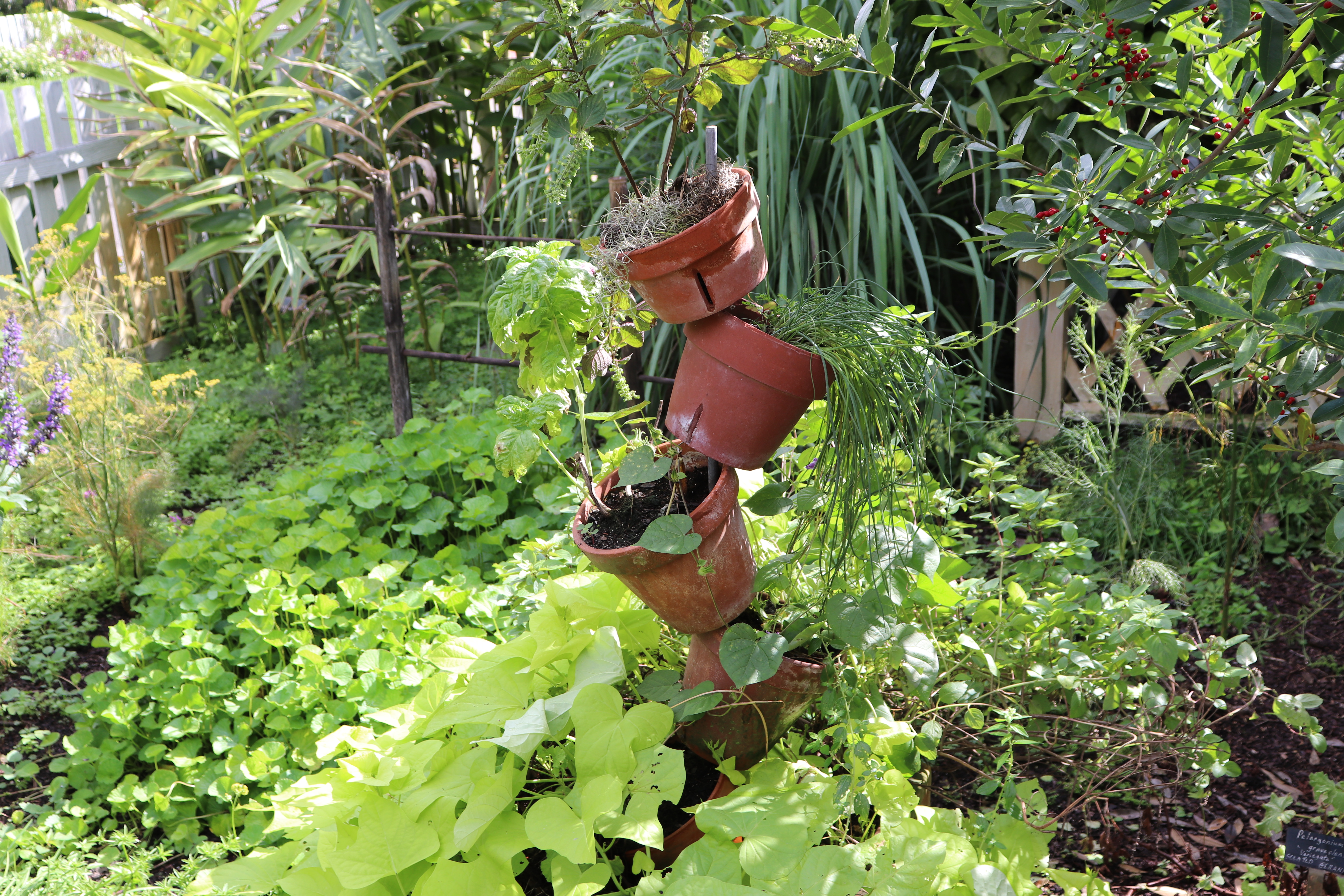 leu gardens, leu gardens orlando, botanical garden orlando, orlando vlog, orlando blogger, orlando blog, orlando vlogger, vlogtober, daily vlog, daily vlog october, touring leu gardens orlando, orlando florida,  orlando florida blog, disney vlog, disney vlogger, disney blog, disney blogger, beauty blog, beauty vlog, beauty blogger, beauty vlogger, skincare blog, skincare blogger, skincare vlog, skincare vlogger, mens skincare, 