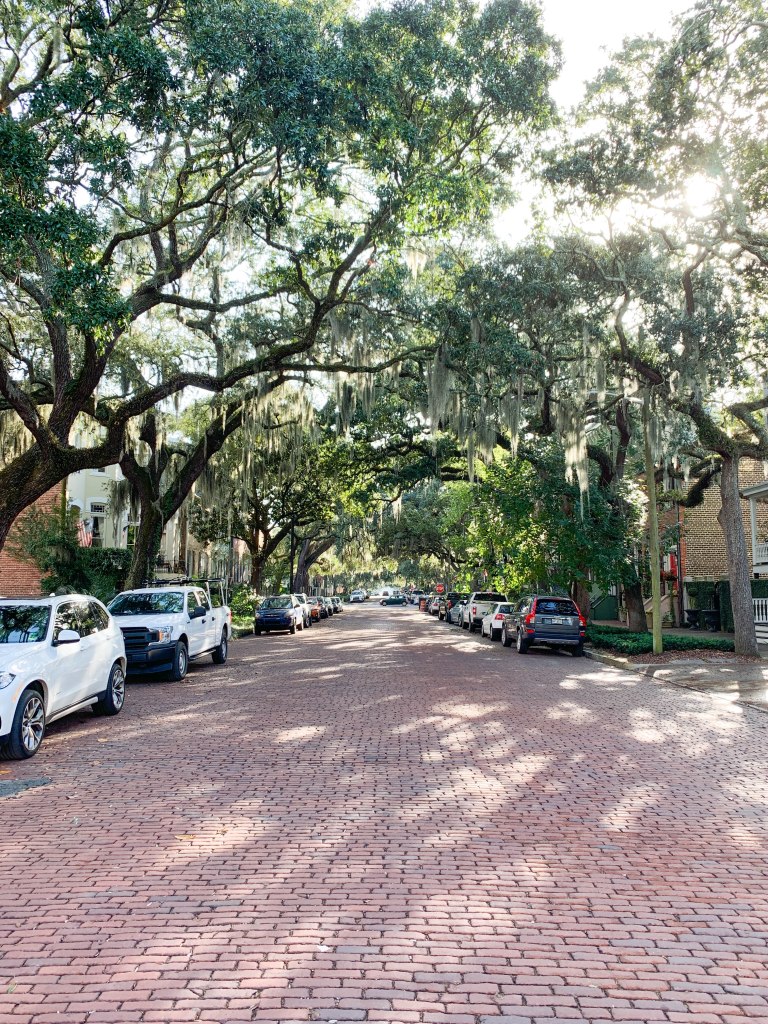 savannah, savannah georgia, savannah blog, 48 hours in savannah, southern blog, southern blogger, florida blog, florida blogger, travel blog, travel blogger, spots in savannah, must see savannah, lifestyle blog, lifestyle blogger, jones street savannah,